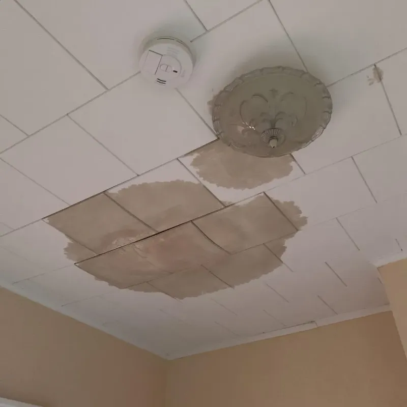 Ceiling Water Damage Repair in Lincoln, VT