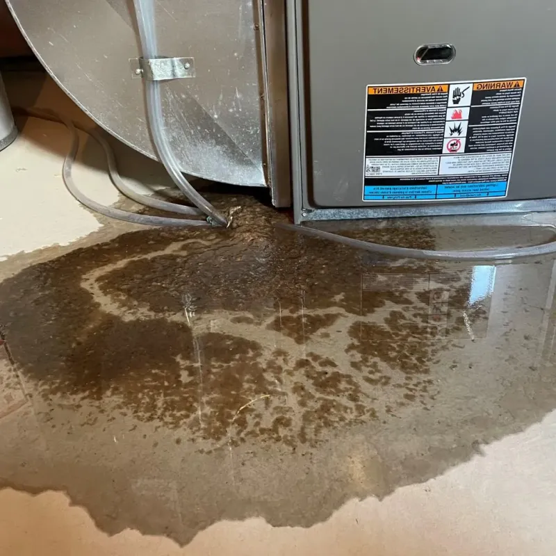 Pipe Burst and Leak Restoration in Lincoln, VT