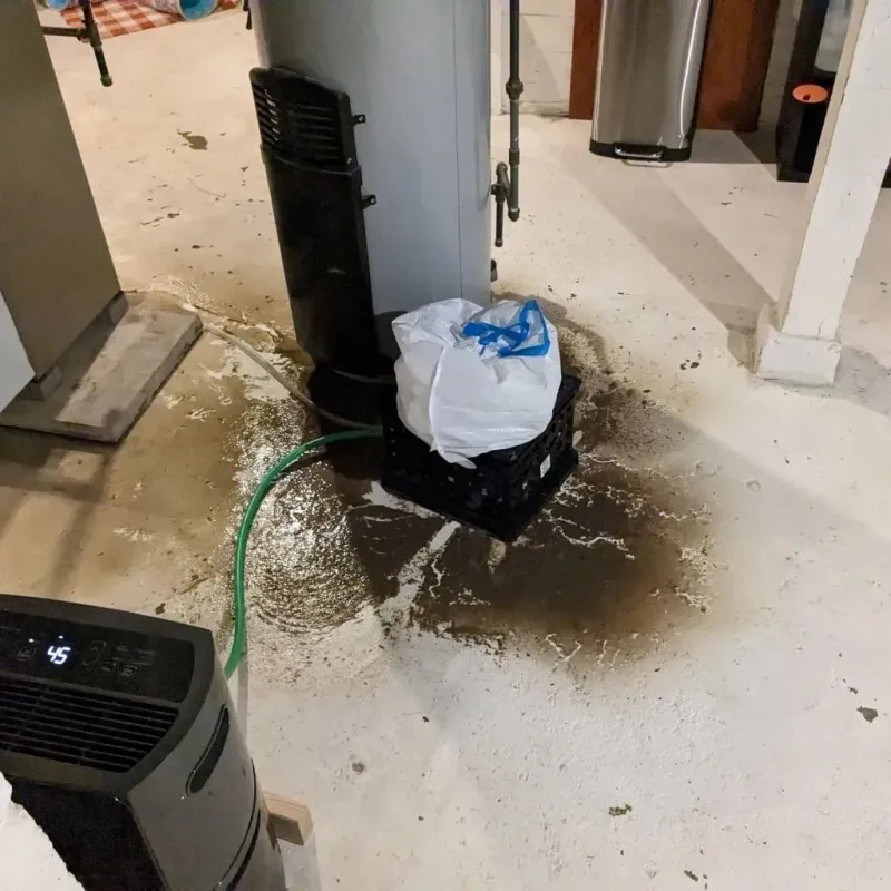Sewage Backup Cleanup Service in Lincoln, VT